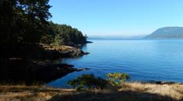 Swanson Channel and the shore of Portland Island