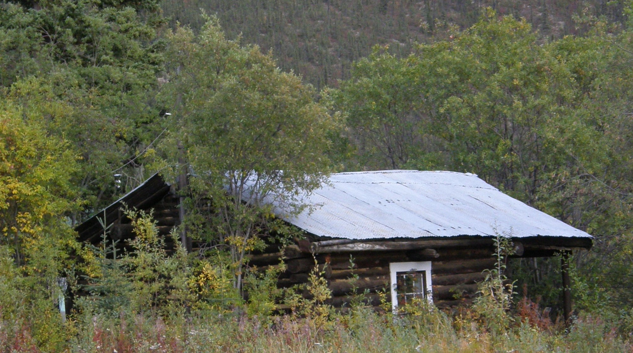 log cabin