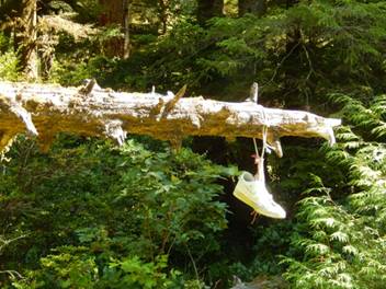 The trailhead marker at Effingham Bay