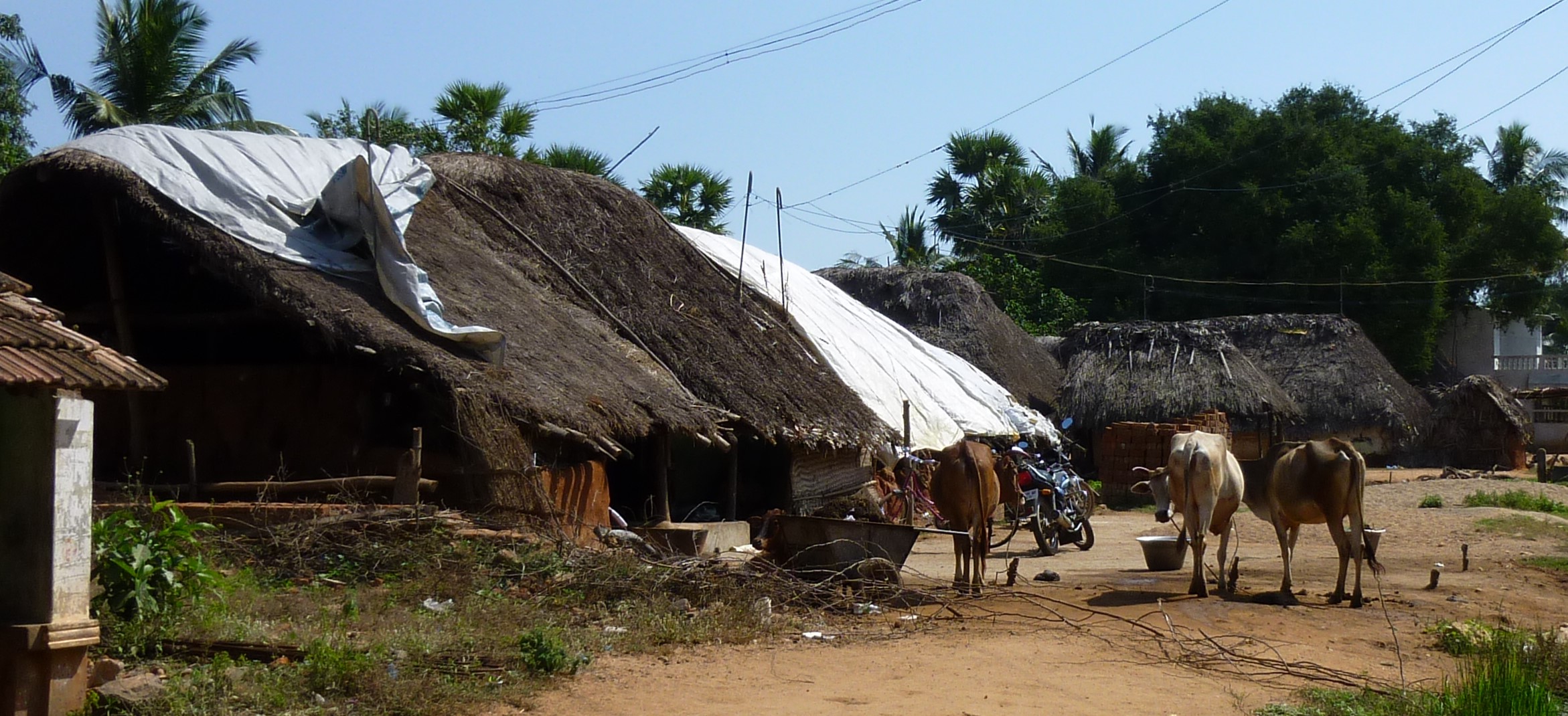 Monayampettai