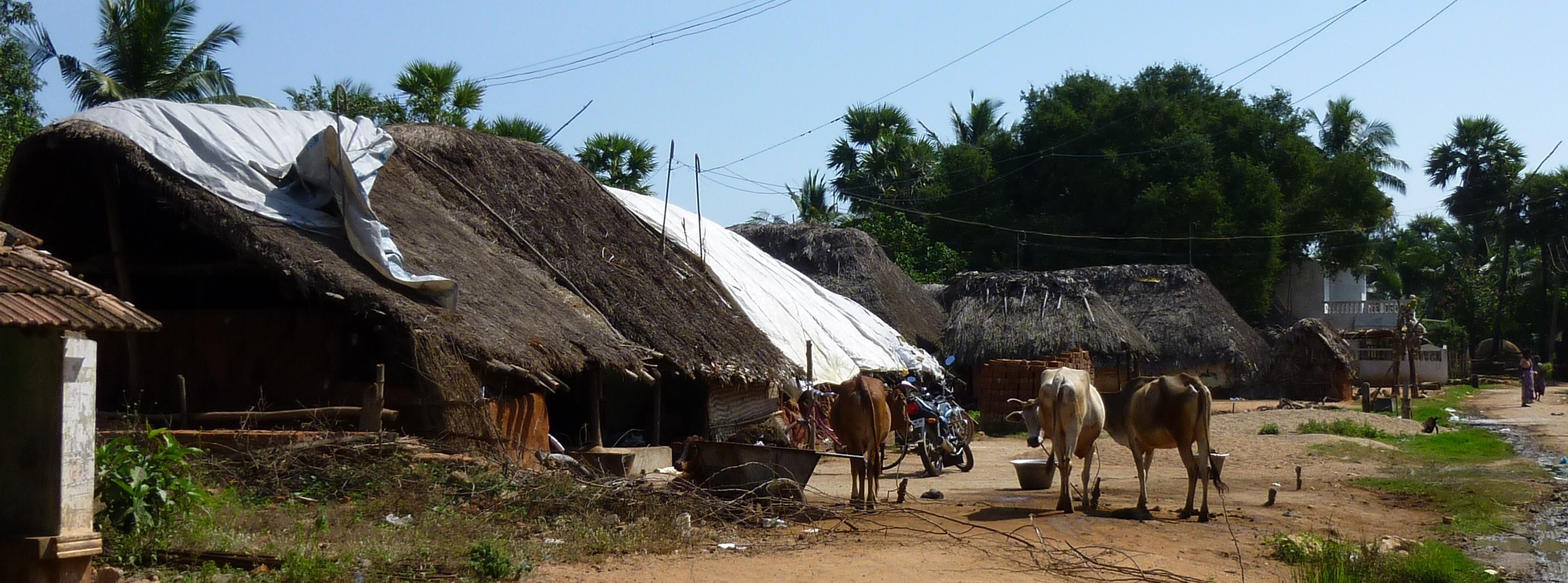 Monayampettai